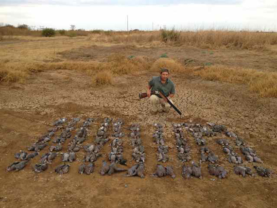 Second TV Program: IBERALIA TV and THE HUNTER'S DREAM SAFARI