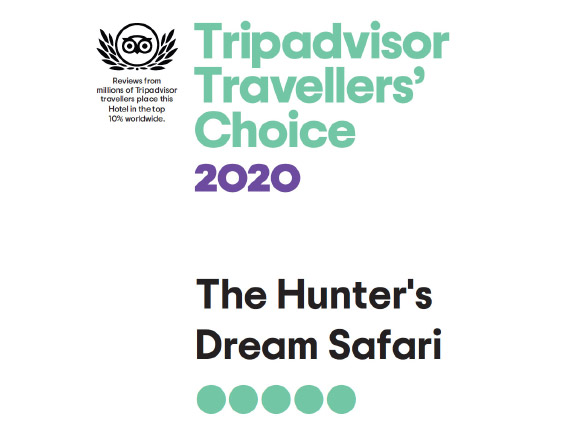 Traveller's Choice 2020 from TripAdvisor